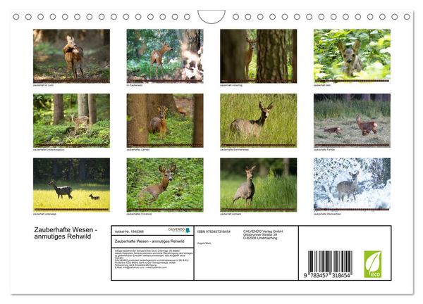 Produktbild: Zauberhafte Wesen - anmutiges Rehwild (Wandkalender 2026 DIN A4 quer), CALVENDO Monatskalender
