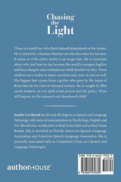 Produktbild: Chasing the Light