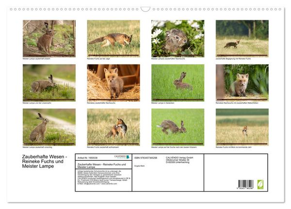 Produktbild: Zauberhafte Wesen - Reineke Fuchs und Meister Lampe (Wandkalender 2026 DIN A2 quer), CALVENDO Monatskalender