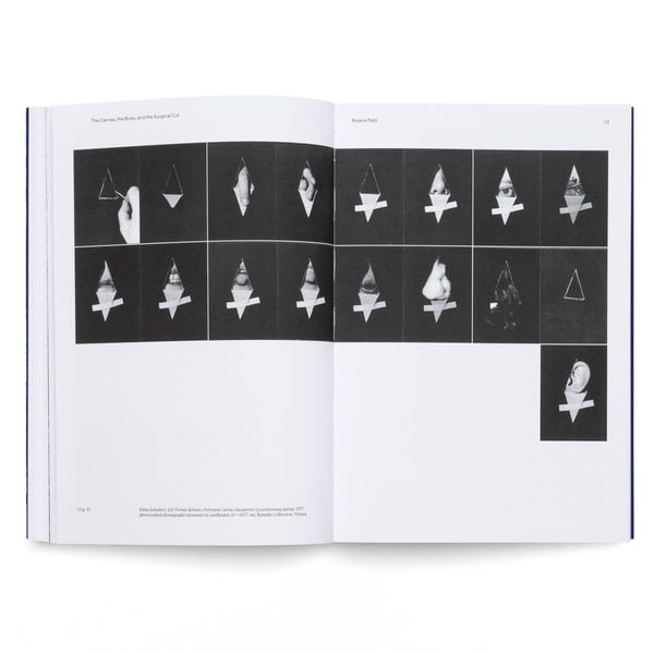 Produktbild: Edita Schubert: Profusion