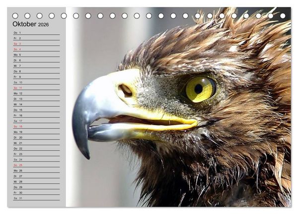 Produktbild: Adler und Greife. K&ouml;nige des Himmels (Tischkalender 2026 DIN A5 quer), CALVENDO Monatskalender