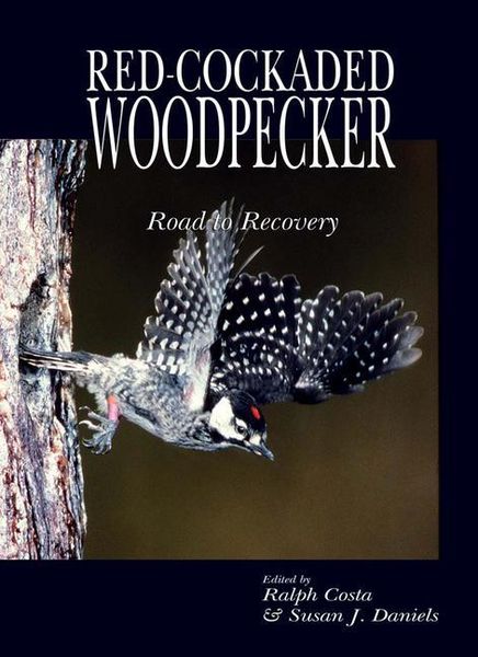 Produktbild: Red Cockaded Woodpecker
