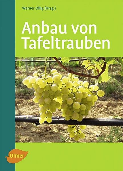 Produktbild: Anbau von Tafeltrauben