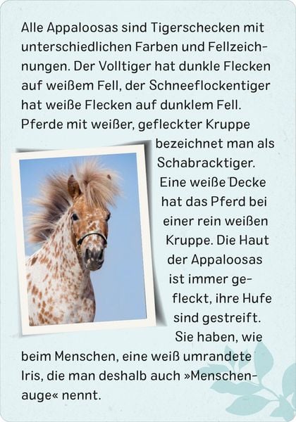 Produktbild: Naturforscher-Kids &ndash; Pferde & Ponys