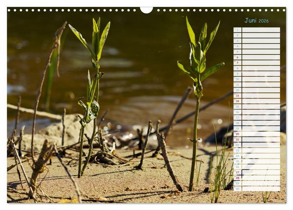 Produktbild: Zwischen Harz und Meer (Wandkalender 2026 DIN A3 quer), CALVENDO Monatskalender