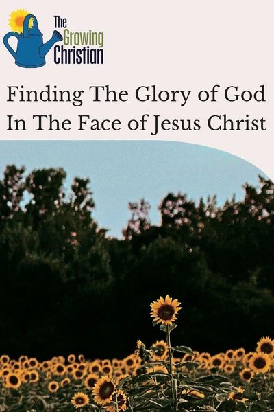 Produktbild: Finding The Glory of God In The Face of Jesus Christ
