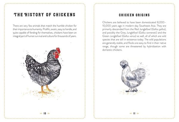 Produktbild: The Little Book of Chickens