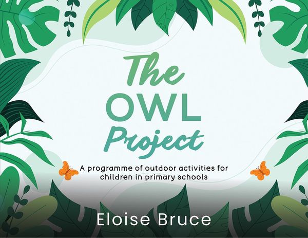 Produktbild: Owl Project