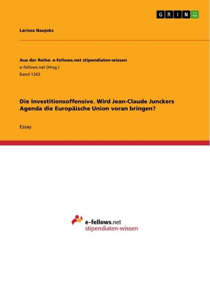 Produktbild: Die Investitionsoffensive. Wird Jean-Claude Junckers Agenda die Europ&auml;ische Union voran bringen?