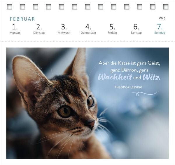 Produktbild: Postkartenkalender Katzenweisheiten 2027