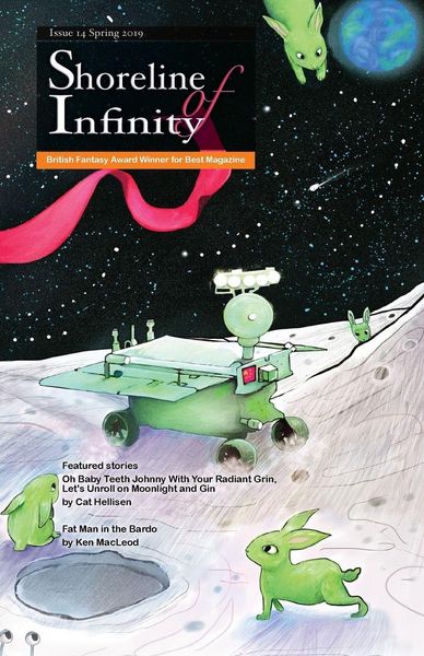 Produktbild: Shoreline of Infinity 14