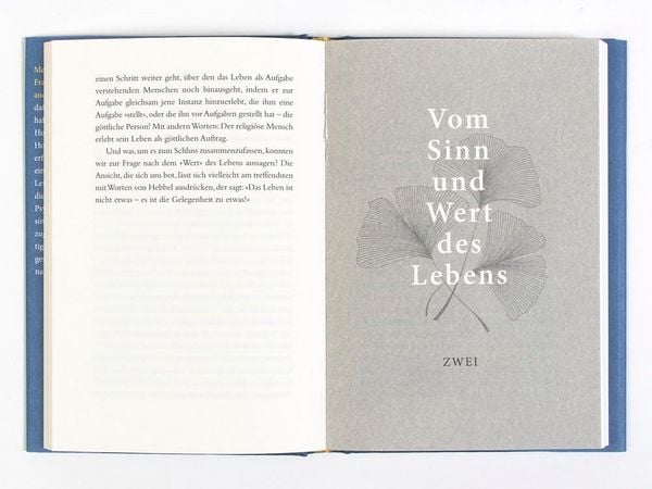 Produktbild: &Uuml;ber den Sinn des Lebens
