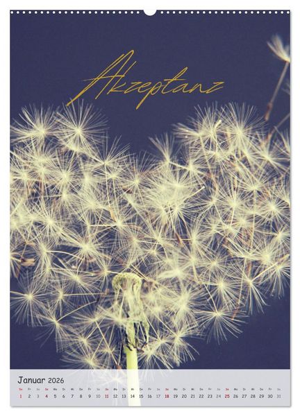 Produktbild: 12 Worte f&uuml;r Liebe (hochwertiger Premium Wandkalender 2026 DIN A2 hoch), Kunstdruck in Hochglanz