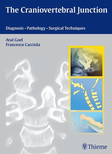 Produktbild: The Craniovertebral Junction