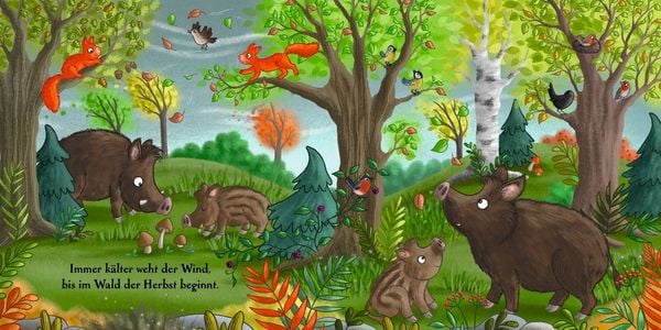 Produktbild: Ein ganzes Jahr hier im Wald