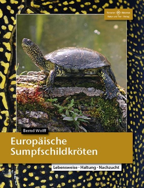 Bromelien, Orchideen und Farne im Tropenterrarium" von Benjamin Schwarz bei  bcher.de bestellen