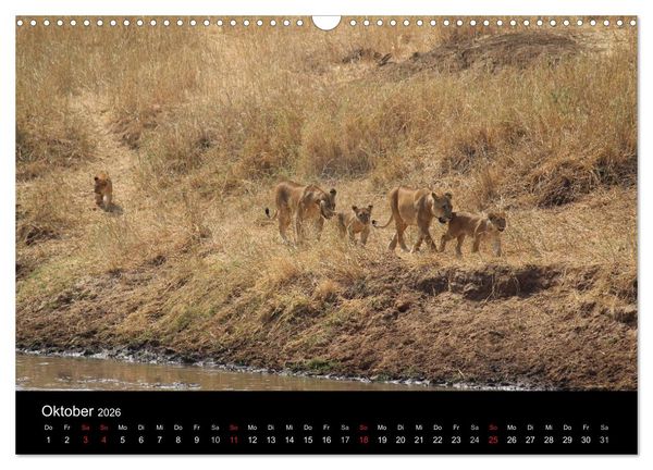 Produktbild: Tansania (Wandkalender 2026 DIN A3 quer), CALVENDO Monatskalender