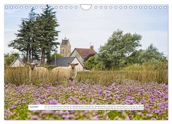 Produktbild: J'adore Le Cotentin (Calendrier mural 2027 DIN A4 vertical), CALVENDO calendrier mensuel