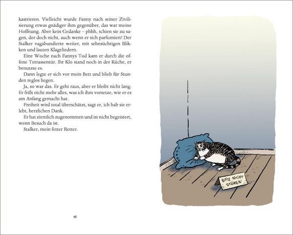Produktbild: Katzentreffen