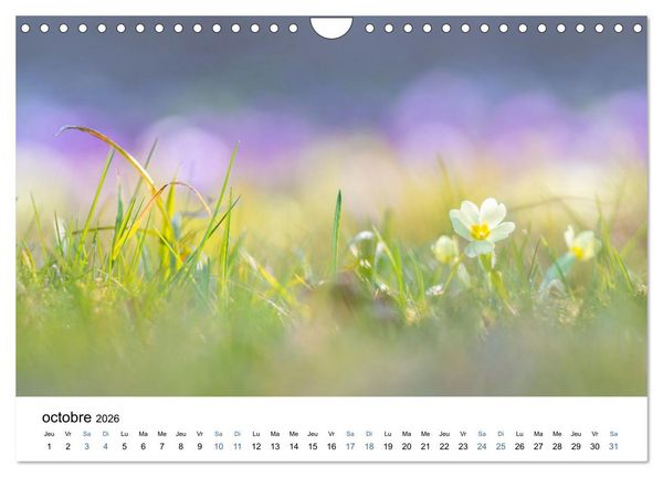 Produktbild: Fleurs po&eacute;tiques (Calendrier mural 2026 DIN A4 vertical), CALVENDO calendrier mensuel