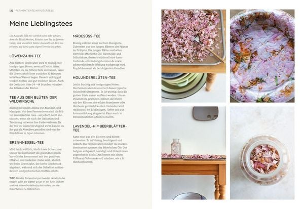 Produktbild: Die Kunst der wilden Fermentation