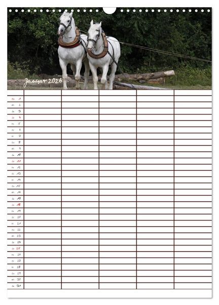 Produktbild: Der Kaltblut-Familienplaner (Wandkalender 2026 DIN A3 hoch), CALVENDO Monatskalender