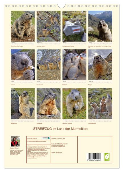 Produktbild: STREIFZUG im Land der Murmeltiere (Wandkalender 2026 DIN A3 hoch), CALVENDO Monatskalender