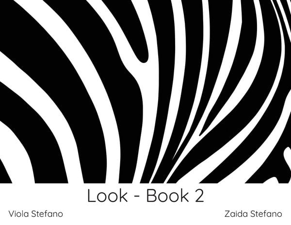 Produktbild: Look - Book 2