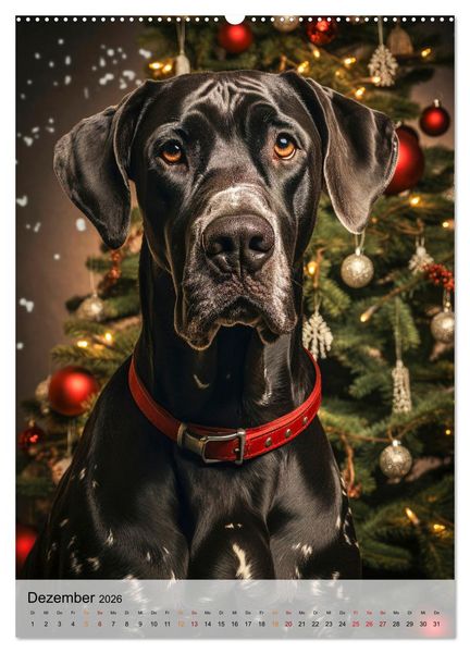 Produktbild: Deutsche Dogge - freundlicher Riese (hochwertiger Premium Wandkalender 2026 DIN A2 hoch), Kunstdruck in Hochglanz