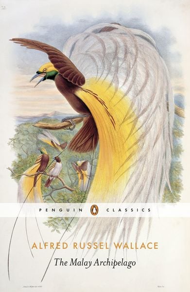 Produktbild: The Malay Archipelago