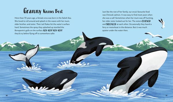 Produktbild: Secrets of the Ocean