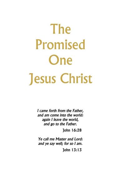 Produktbild: The Promised One