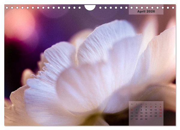 Produktbild: Bl&uuml;ten im Retro-Style (Wandkalender 2026 DIN A4 quer), CALVENDO Monatskalender