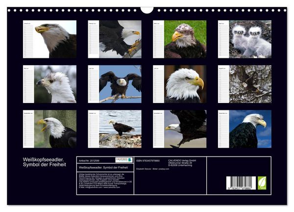 Produktbild: Wei&szlig;kopfseeadler. Symbol der Freiheit (Wandkalender 2026 DIN A3 quer), CALVENDO Monatskalender