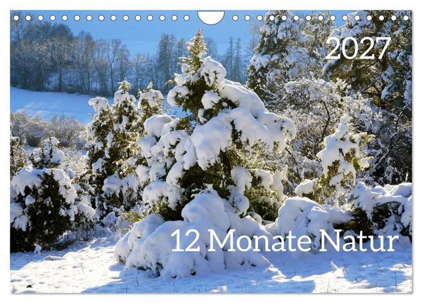 Produktbild: 12 Monate Natur (Wandkalender 2027 DIN A4 quer), CALVENDO Monatskalender
