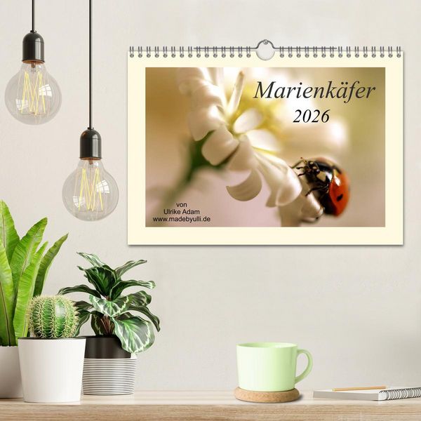 Produktbild: Marienk&auml;fer / 2026 (Wandkalender 2026 DIN A4 quer), CALVENDO Monatskalender
