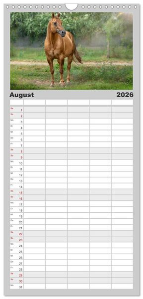 Produktbild: Familienplaner 2026 - Faszination Westernpferde mit 5 Spalten (Wandkalender, 21 x 45 cm) CALVENDO
