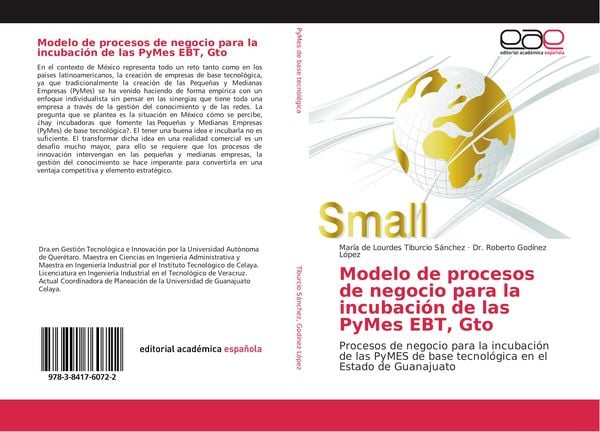 Produktbild: Modelo de procesos de negocio para la incubaci&oacute;n de las PyMes EBT, Gto