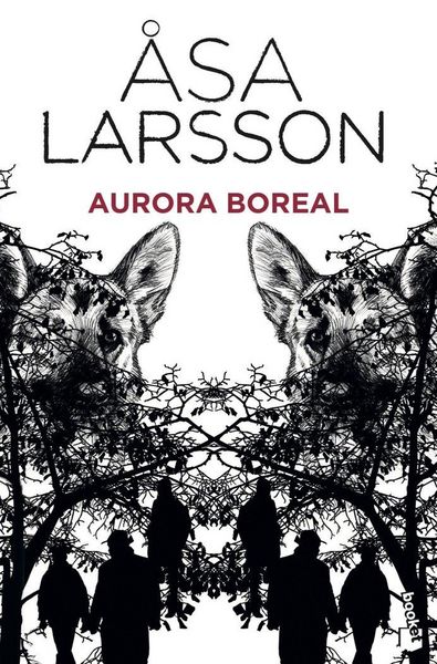 Produktbild: Aurora boreal