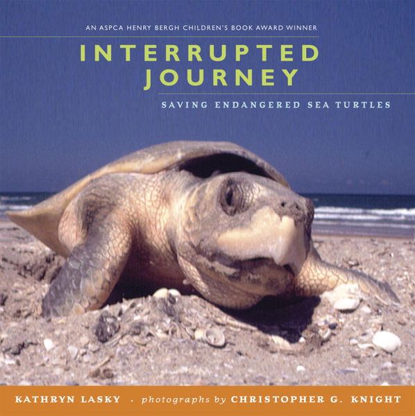Produktbild: Interrupted Journey