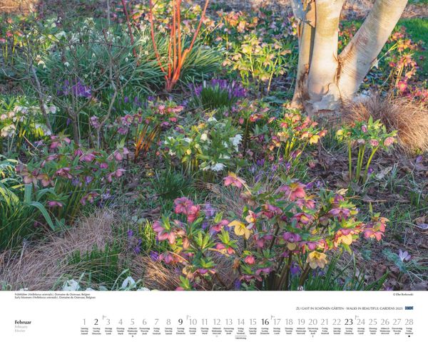 Zu Gast in schönen Gärten 2025 DUMONT GartenKalender Querformat 52