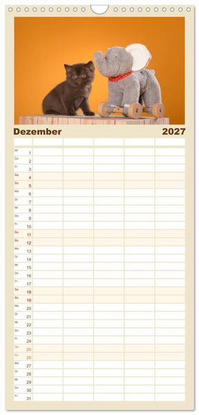 Produktbild: Familienplaner 2027 - Die Britisch Kurzhaar Katze mit 5 Spalten (Wandkalender, 21 x 45 cm) CALVENDO