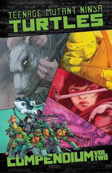 Teenage Mutant Ninja Turtles: Ongoing Compendium, Vol. 2, Taschenbuch von Kevin Eastman,Tom Waltz, Idea and design works