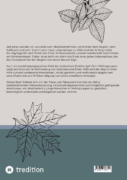 Produktbild: Abschluss und Abschied in den station&auml;ren Erziehungshilfen
