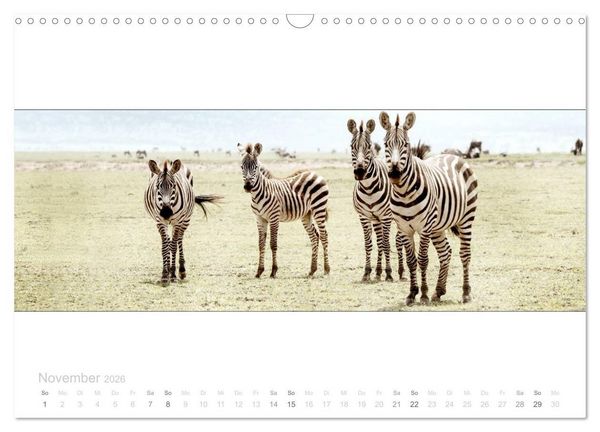 Produktbild: Serengeti Panorama (Wandkalender 2026 DIN A3 quer), CALVENDO Monatskalender