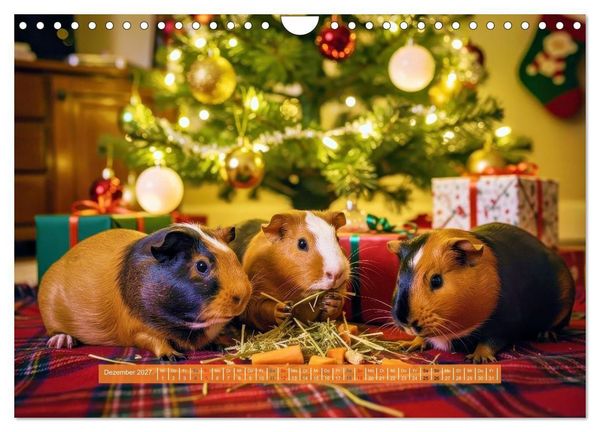 Produktbild: Kleine s&uuml;&szlig;e Meerschweinchen (Wandkalender 2027 DIN A4 quer), CALVENDO Monatskalender