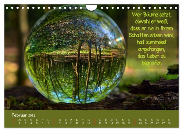 Produktbild: Wunderbare Waldkugeln (Wandkalender 2026 DIN A4 quer), CALVENDO Monatskalender
