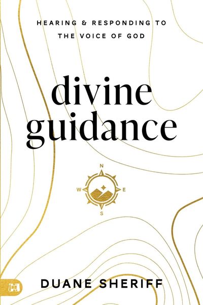 Produktbild: Divine Guidance