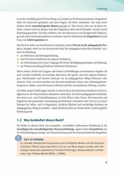 Produktbild: Die gestresste Kita
