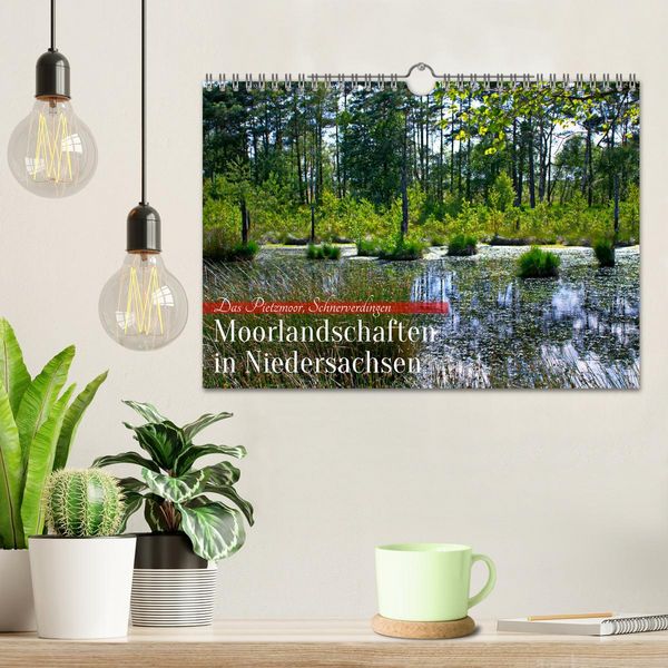 Produktbild: Niedersachsens Moorlandschaften - Das Pietzmoor, Schneverdingen (Wandkalender 2026 DIN A4 quer), CALVENDO Monatskalender